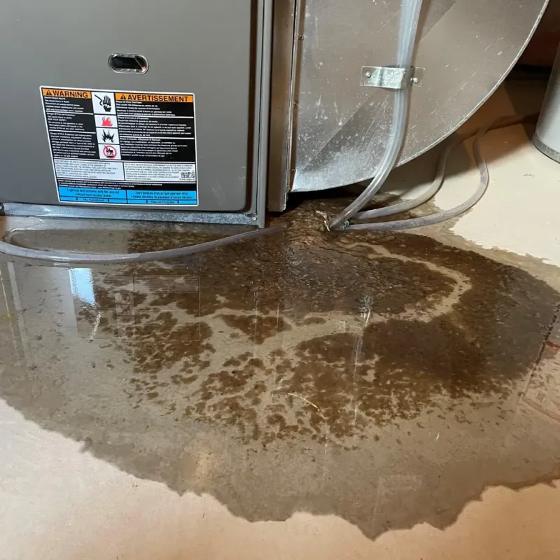 Appliance Leak Cleanup in Iona, ID